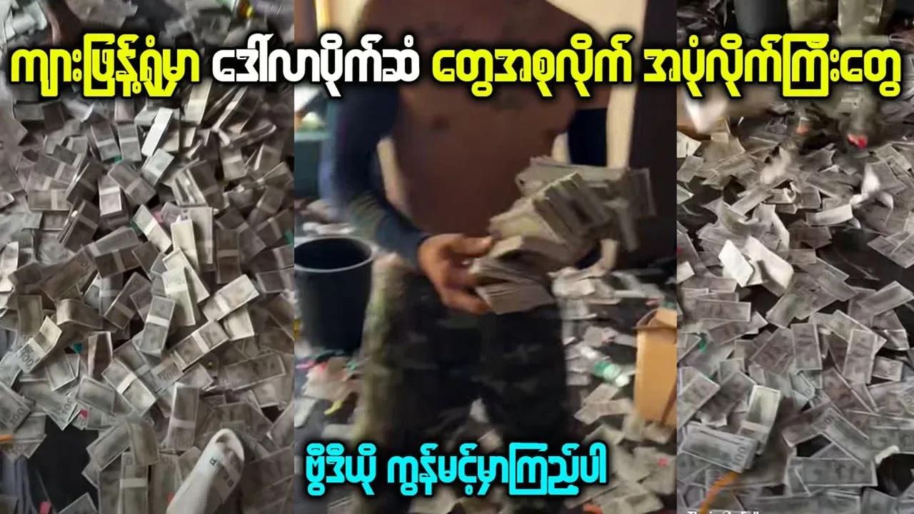 Video of the production process at the Tiger Center