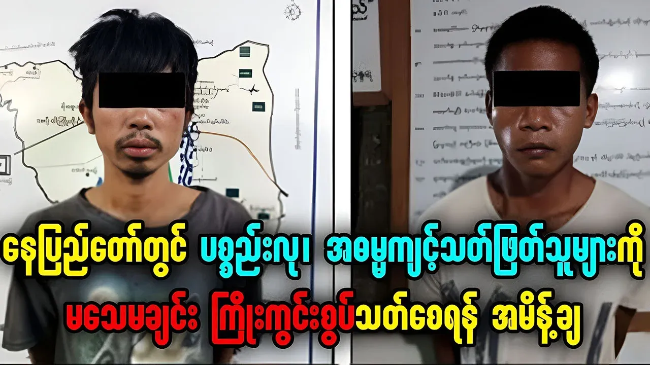 The court ordered the defendants to pay the fines