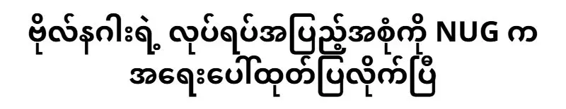 All of the actions of Naga have been revealed by NUG as an emergency