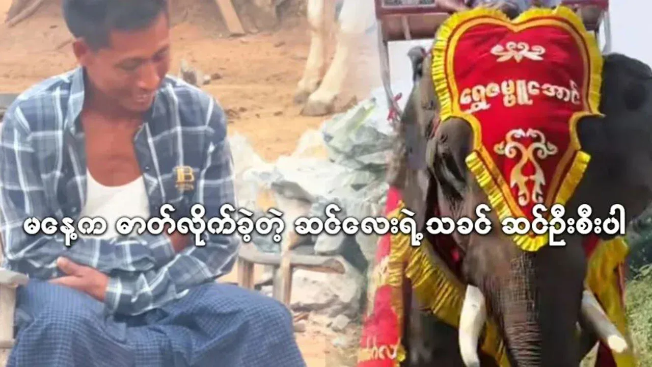 The master of the elephant was passed away the day before