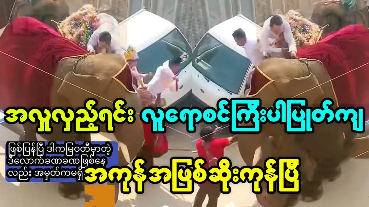 Video of a man falling off an elephant while riding it