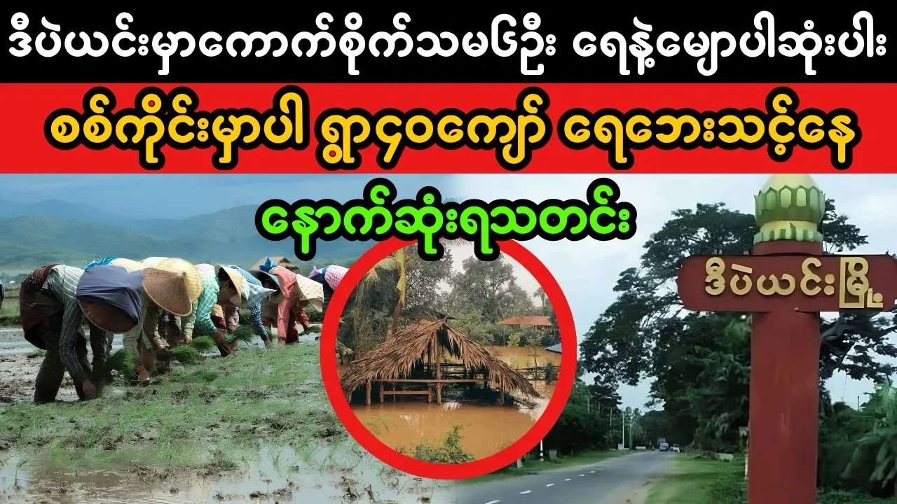 Video of all six people being swept away by the water