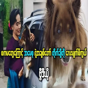 Aung San Suu Kyi's beloved dog Taichito has lost his sight