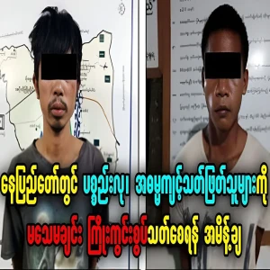 The court ordered the defendants to pay the fines