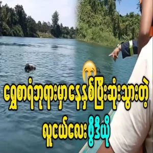 Young man ended up drowning at Shwe Sat Taw Pagoda