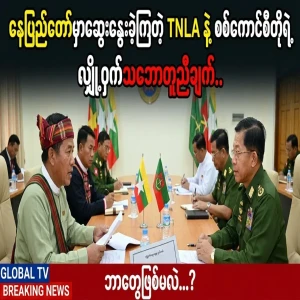 The secret agreements that the TNLA met and discussed