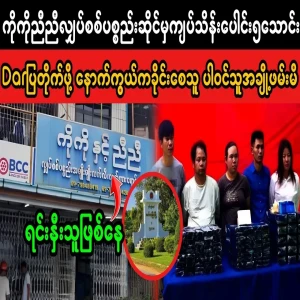 A gang of thieves that broke into an electrical appliance shop