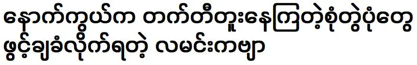 ภาพคู่เบื้องหลังเปิดเพลง กลอนลำ ของนักร้องสาว