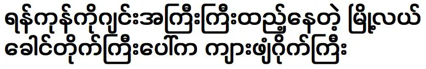 แก๊งเสือโคร่งขนาดใหญ่ถูกเปิดเผยในอาคารหลักใจกลางเมืองย่างกุ้ง