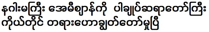 เจ้าอาวาสป่าปาเองก็เทศน์เรื่องมังกรเอมี่ผู้ยิ่งใหญ่