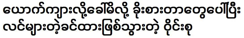 นักร้องที่แสดงร่วมกับตุน ออง จ่อ และแสดงศิลปะร่วมกัน