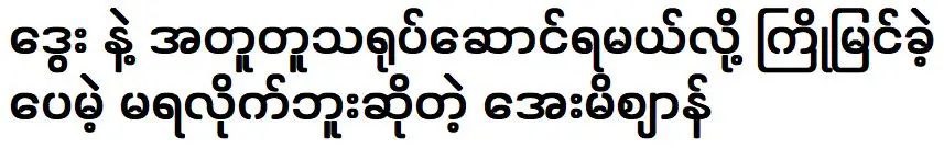 เอมิซังกล่าวว่าเธอหวังที่จะแสดงร่วมกับนักแสดงดเวย์น