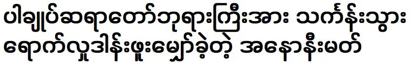 นิรนาม นักร้องที่ผมเคยพบหลังจากบริจาคผ้าให้เจ้าอาวาสป่าปา