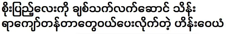 ไฮน์ วายัน ผู้ที่ซื้อของที่ระลึกให้เจ้าหญิงโซเป้งเป็นจำนวนมาก