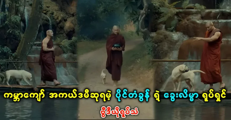 World Academy Award-winning film about the clever dog of Paing Takhon