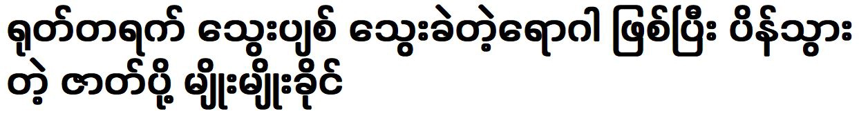 Myo Myo Khaing was unable to make and health conditions