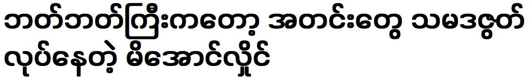 Mi Aung Hlaing showed something that everyone did not expect