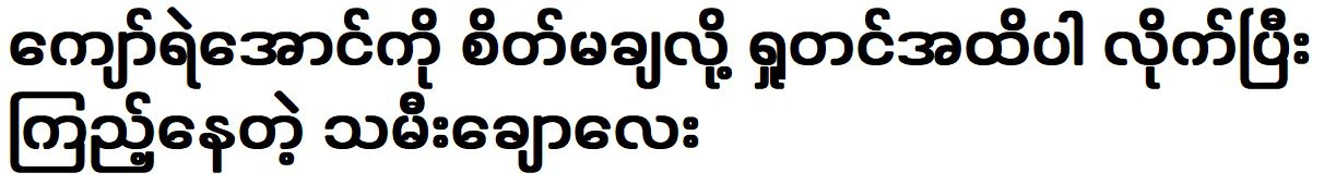 Tha Mee was supported actor Kyaw Ye Aung to the point